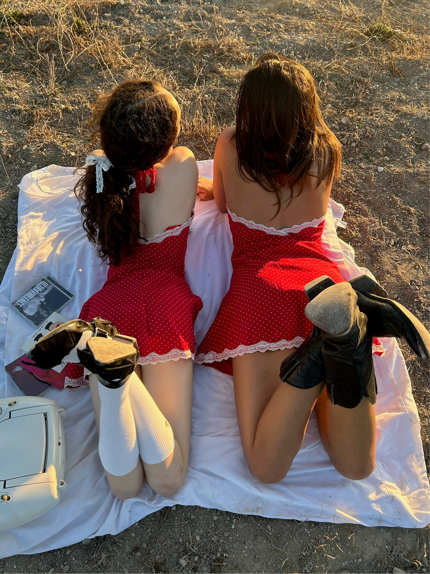 𝒯𝒽𝑒 𝐿𝒶𝓃𝒶 𝒟𝓇𝑒𝓈𝓈